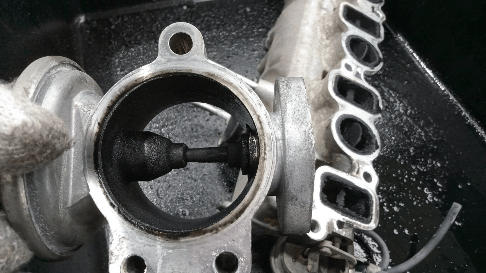 Image of air intake system with air intake manifold and egr valve for immediate thorough cleaning